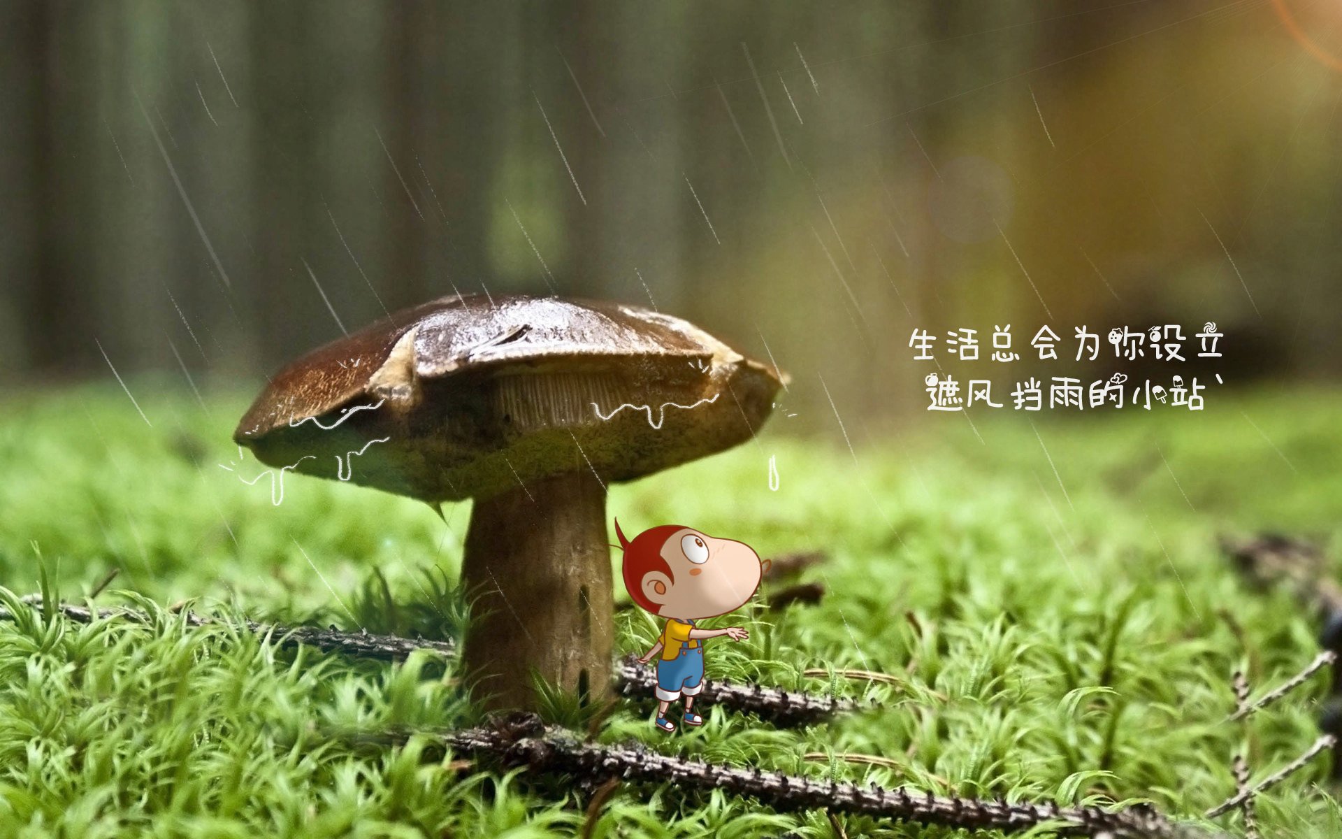 爱游戏体育官方网站-传奇再临：老将如何影响年轻一代球员？，lol老将传奇