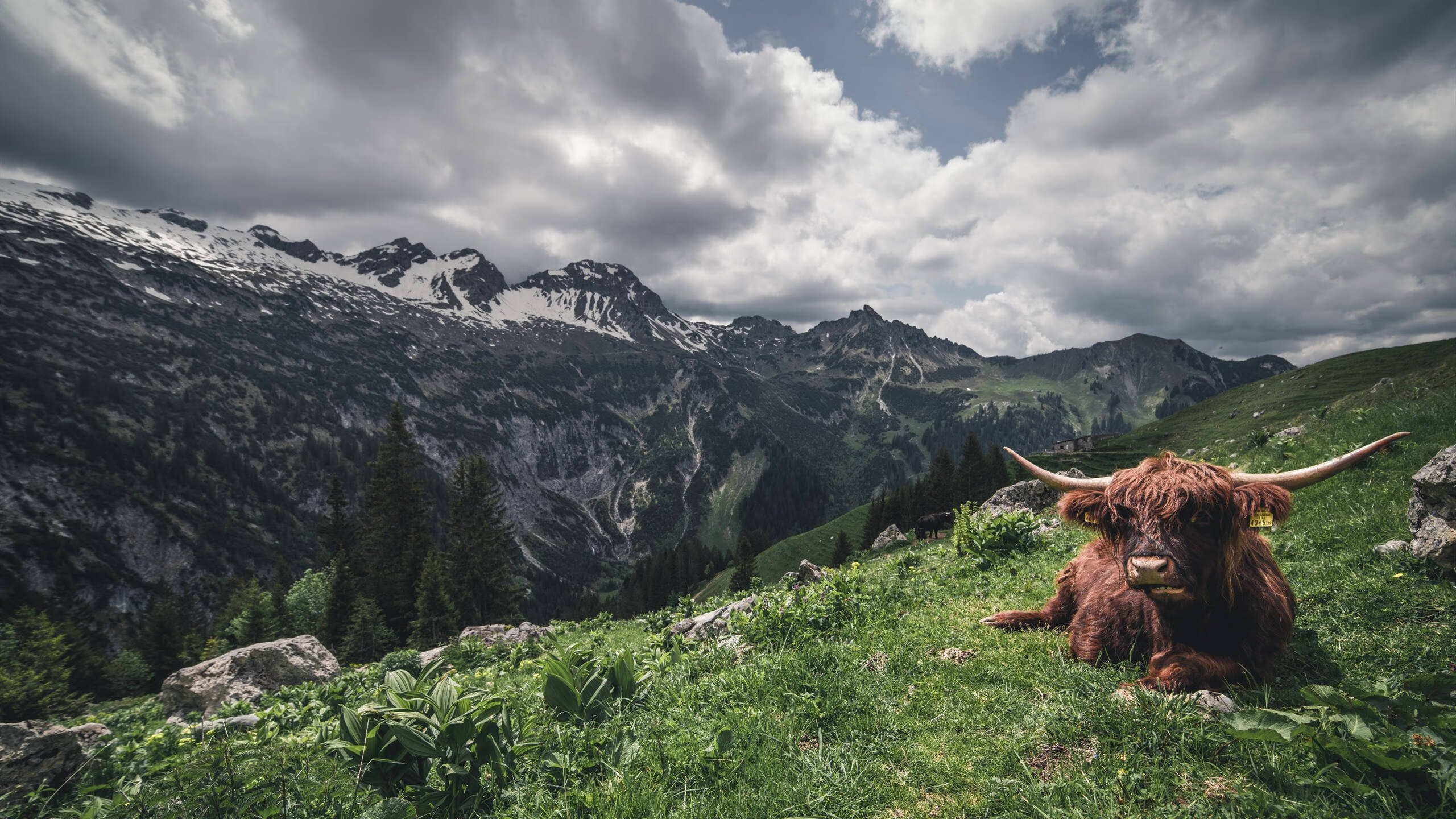 西甲激情夜,精彩射门、精彩扑救轮番上演,西甲足球集锦