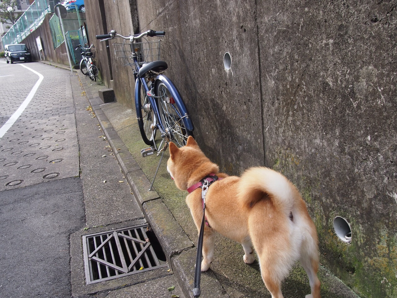 爱游戏体育-马刺挖掘潜力新星，未来可期，马刺潜力球员