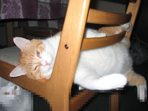 墨西哥队青年球员加入国家队大名单,墨西哥国家队主力