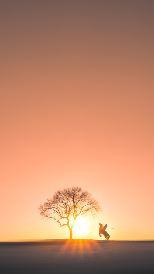 比赛中球员们齐心协力,力争胜利