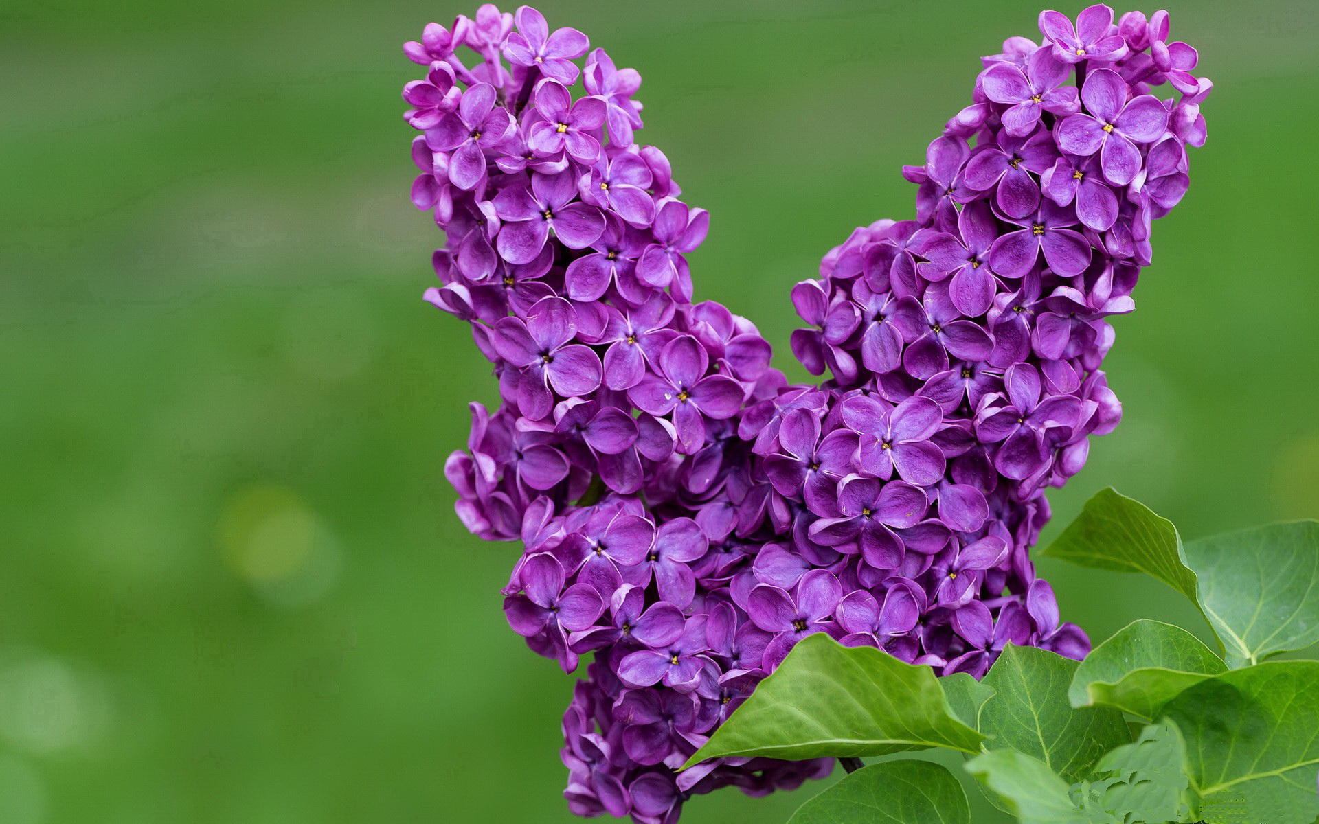 皇马主场大胜利物浦,逆转晋级半决赛!,皇马vs利物浦全场回放