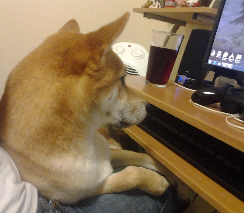 AYX体育-西班牙队力克智利，力争捧起美洲杯奖杯，西班牙2比1智利