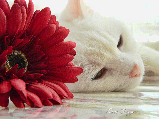 首尔SK骑士防守端表现突出，首尔骑士篮球比分