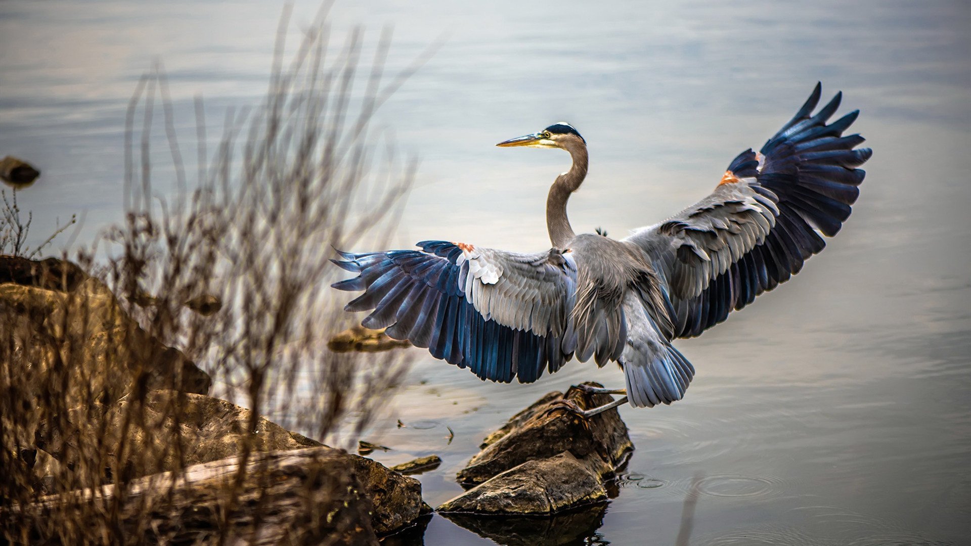体育教学互动平台对学生学习动机的促进作用,体育平台活动