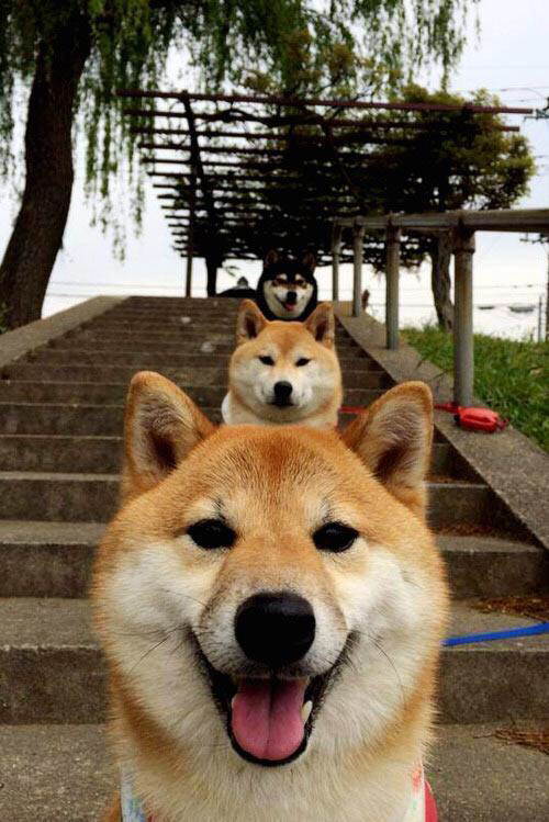 爱游戏 电竞-200蝶划频变化与疲劳关系