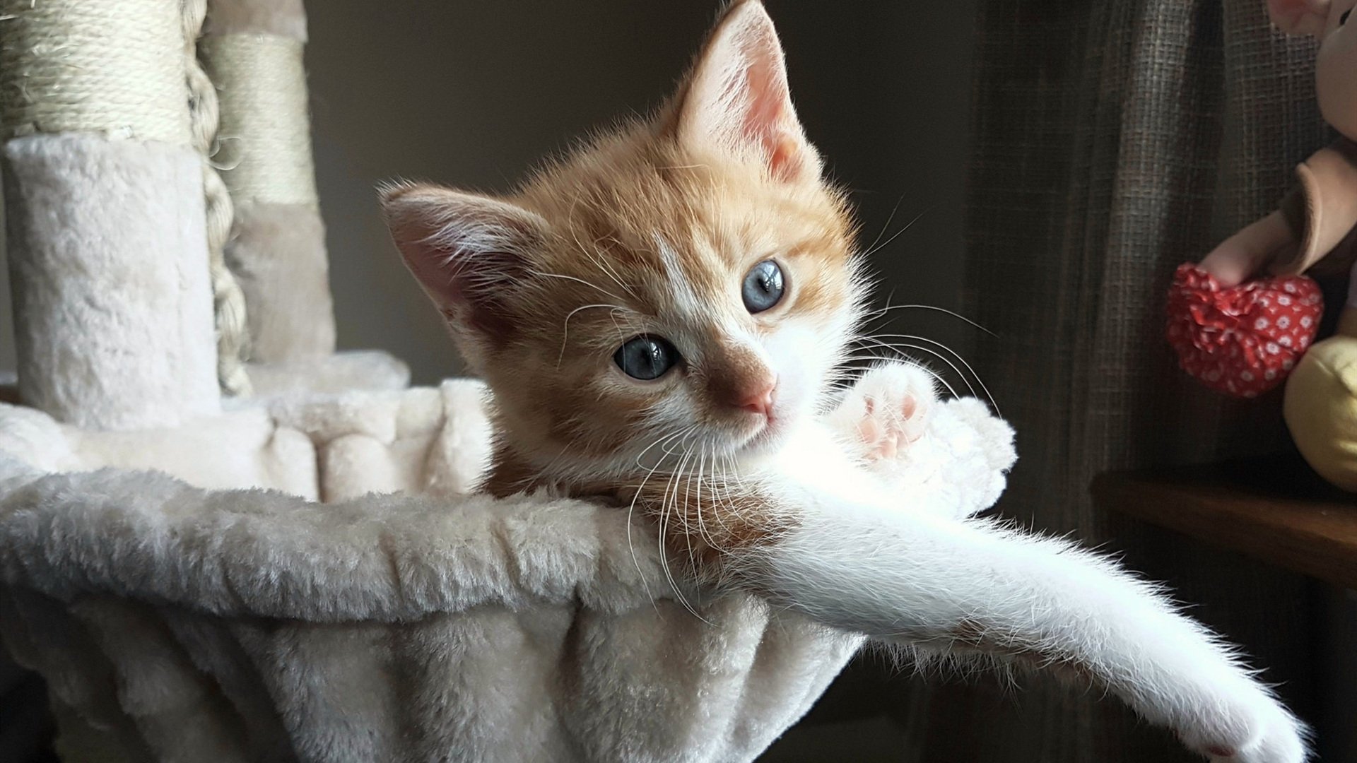 200蝶划频变化与疲劳关系