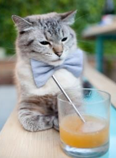 中超联赛U23国足夺冠 战术执行值得肯定，中超u23状况令人担忧, 谁能拿下赛季最佳新人