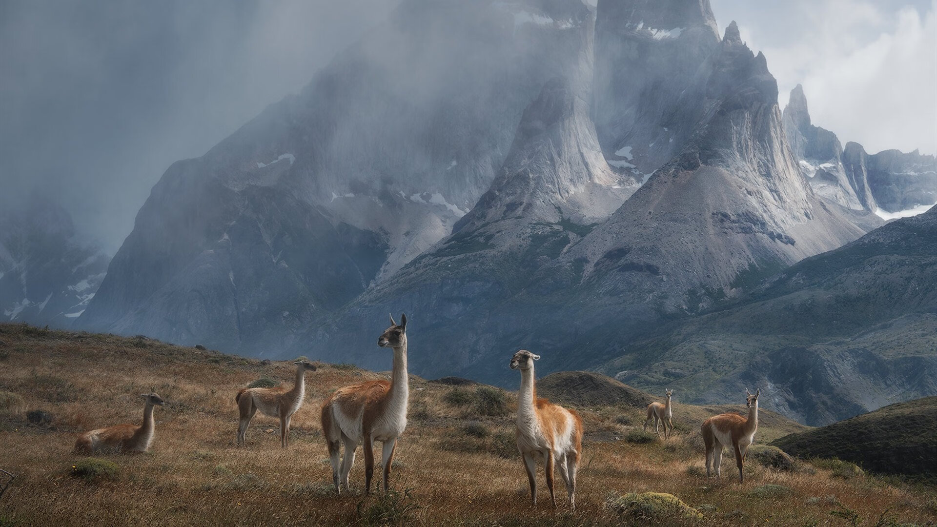爱游戏官网-帕金斯起跳反应速度惊人，帕金斯什么水平
