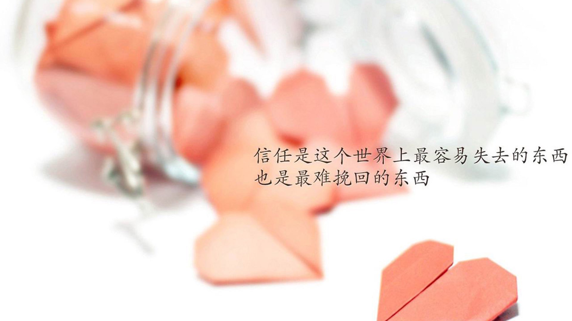 核心战术思路清晰比赛执行力提升成绩稳步攀升，战术执行能力