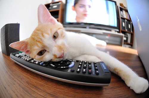 英超绝杀瞬间：终场哨声前的奇迹出现，英超压哨转会