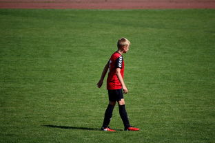 AYX GAMING-NBA球员高原训练对平原比赛状态的影响，平原运动员进行高原训练原因