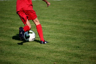 爱游戏中国-意甲青训体系中融入情绪调节训练的效果评估，意甲青训体系中融入情绪调节训练的效果评估
